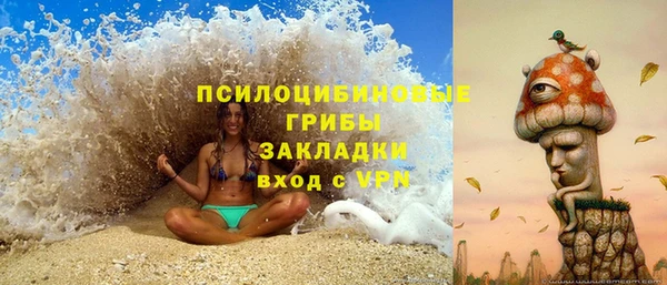 прущие крисы Алзамай